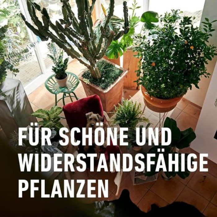 COMPO Blumendünger mit Guano, Spezial-Flüssigdünger, 1,3 Liter, 12031