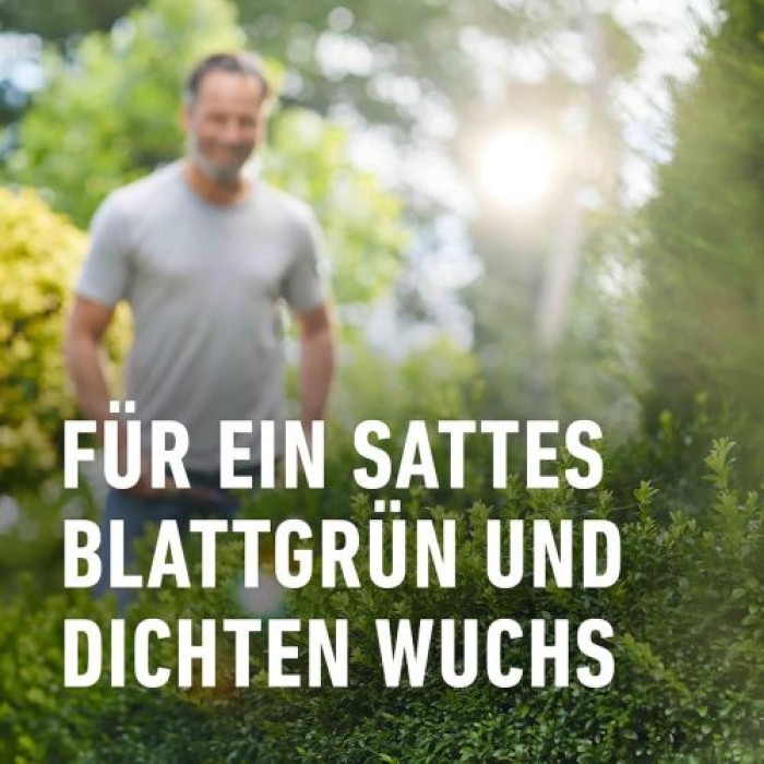 COMPO Buchsbaum- und Ilex Langzeit-Dünger, 6 Monate Langzeitwirkung, 850 g, 17 m², 26044