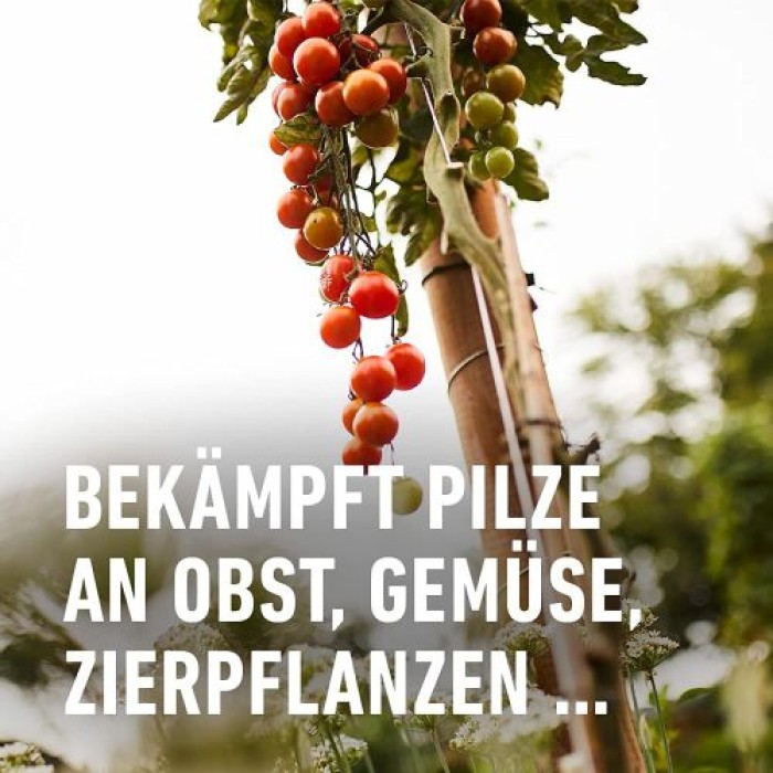 COMPO Duaxo Universal Pilz-frei, Bekämpfung von Pilzkrankheiten, inkl. Messbecher, 150 ml, 17785