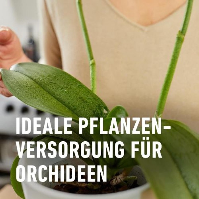 COMPO Düngestäbchen für Orchideen, mit 3 Monaten Langzeitwirkung, 20 Stück, 11978