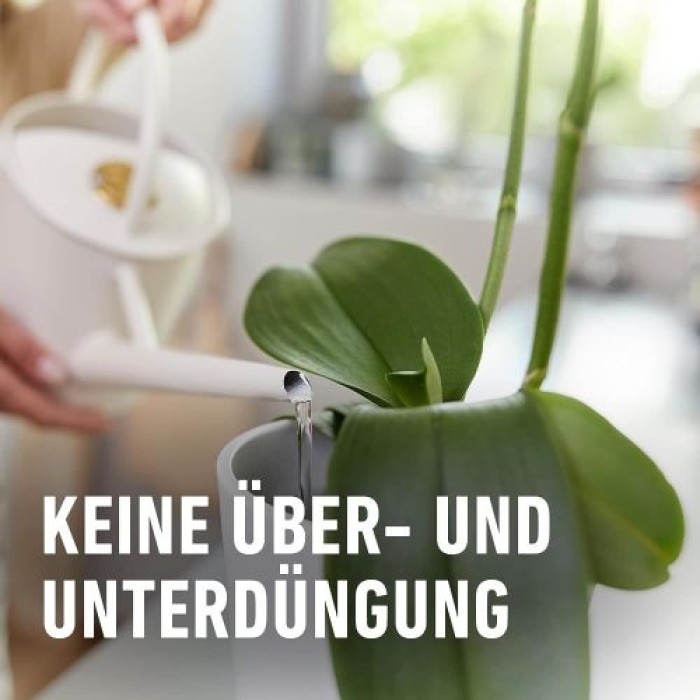 COMPO Düngestäbchen für Orchideen, mit 3 Monaten Langzeitwirkung, 20 Stück, 11978