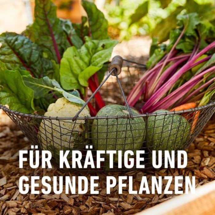 COMPO Garten Langzeit-Dünger für Gartenpflanzen, 6 Monate Langzeitwirkung, 2 kg, 37 m², 26050