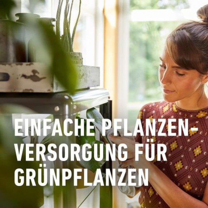 COMPO Grünpflanzen- und Palmen Düngestäbchen mit Guano, mit 3 Monaten Langzeitwirkung, 30 Stück, 12064