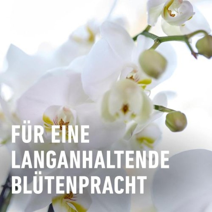 COMPO Orchideenwasser, Anwendungsfertig, Nährstoffreich, 1 Liter, 23272