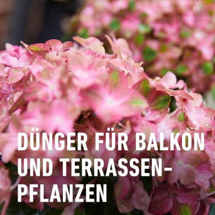 COMPO Qualitäts-Blumendünger mit extra Magnesium, 1 Liter, 14361