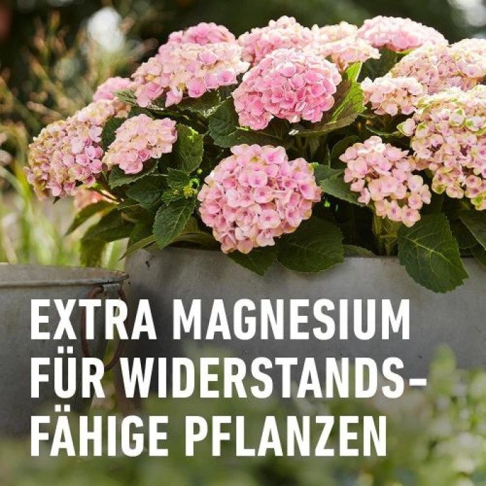 COMPO Qualitäts-Blumendünger mit extra Magnesium, 1 Liter, 14361