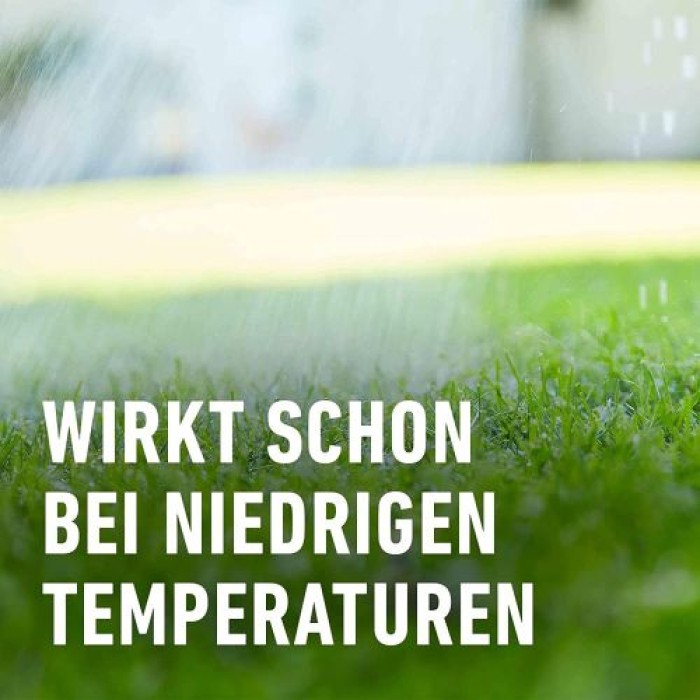 COMPO Rasen Langzeit-Dünger, mit 4 Monaten Langzeitwirkung, 12 kg, 480 m², 23698