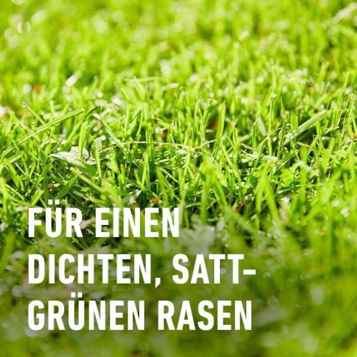 COMPO Rasendünger, Dünger mit 2-3 Monaten Langzeitwirkung, Feingranulat, 13 kg, 400 m², 20946