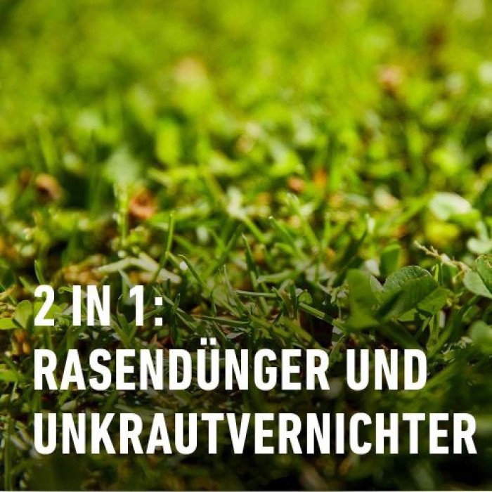 COMPO Rasendünger plus Unkrautvernichter, 3 Monate Langzeitwirkung, 3 kg, 100 m², 13310