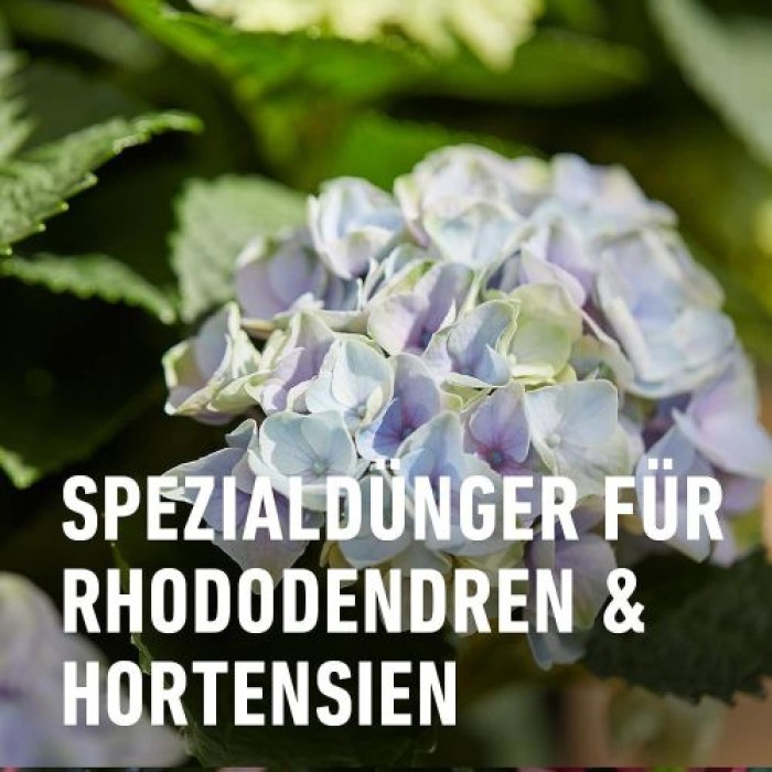 COMPO Rhodo- und Hortensien Vital, Spezial-Dünger, 1 kg, 21795