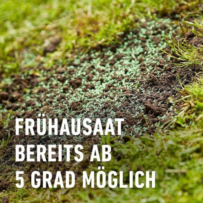 COMPO SAAT Nachsaat-Rasen, 1 kg, für 50 m², 13883