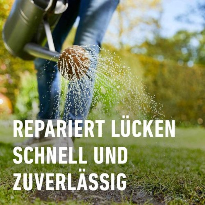 COMPO SAAT Nachsaat-Rasen, 440 g, für 22 m², 13881