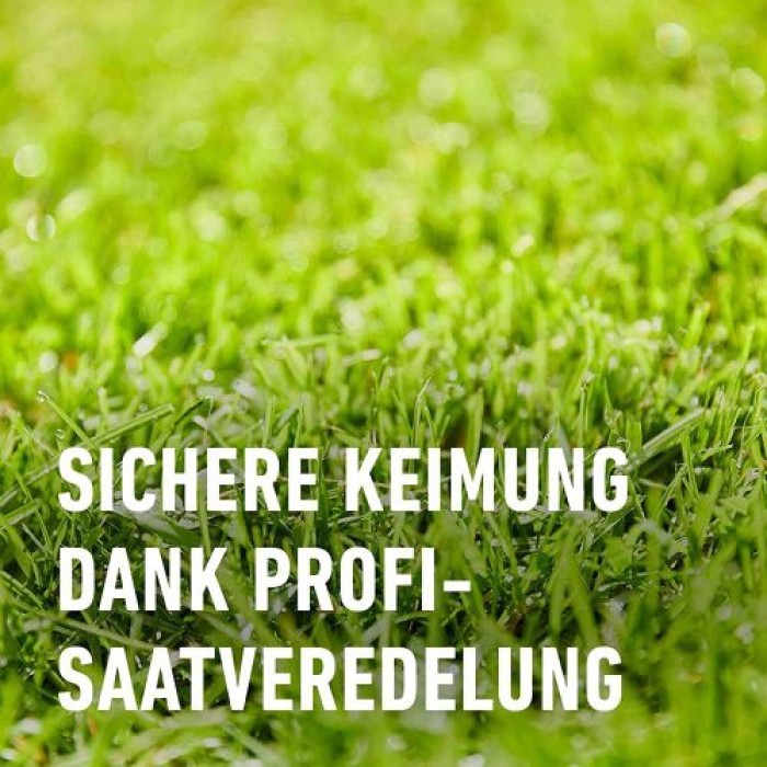 COMPO SAAT Nachsaat-Rasen, 440 g, für 22 m², 13881