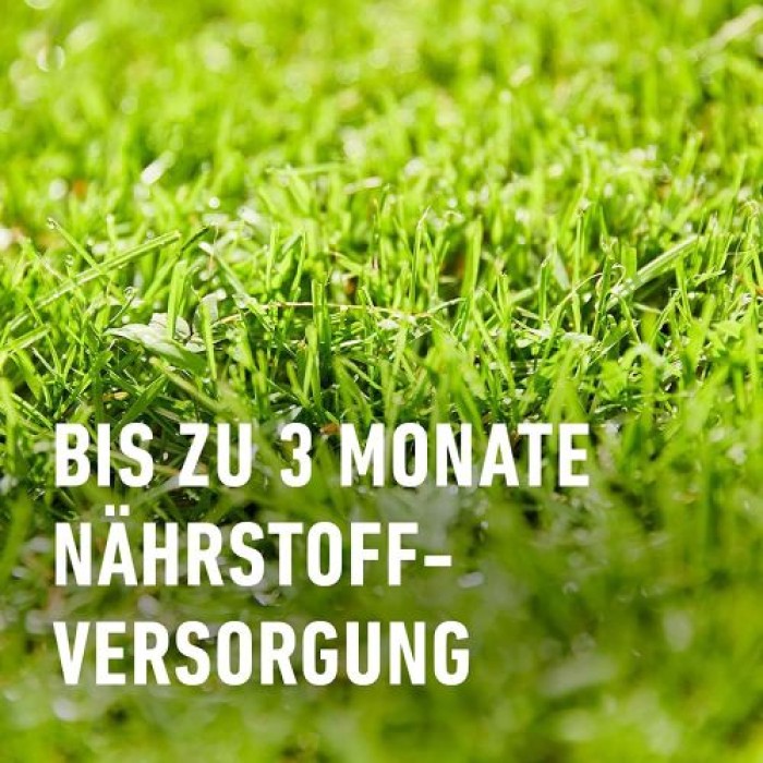 COMPO SAAT Rasen-Neuanlage-Mix, mit 3 Monaten Langzeitwirkung, 2,2 kg, 100 m², 10266