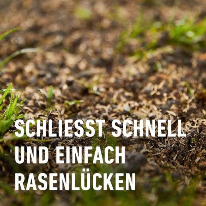 COMPO SAAT Rasen Reparatur Komplett-Mix+, 1,2 kg (6 m²), 21796