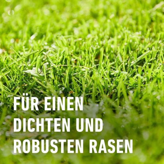 COMPO SAAT Rasen Reparatur Komplett-Mix+, 1,2 kg (6 m²), 21796