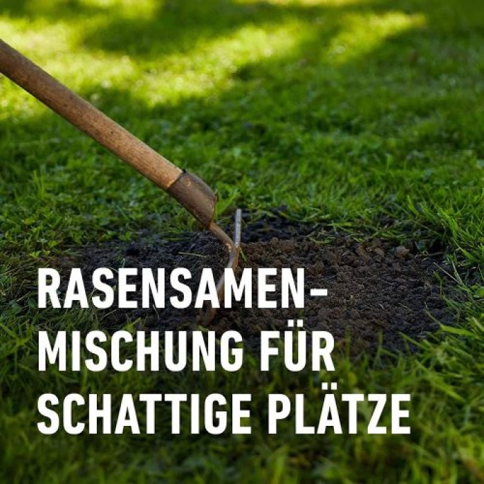 COMPO SAAT Schatten-Rasen, 1 kg, für 50 m², 13896