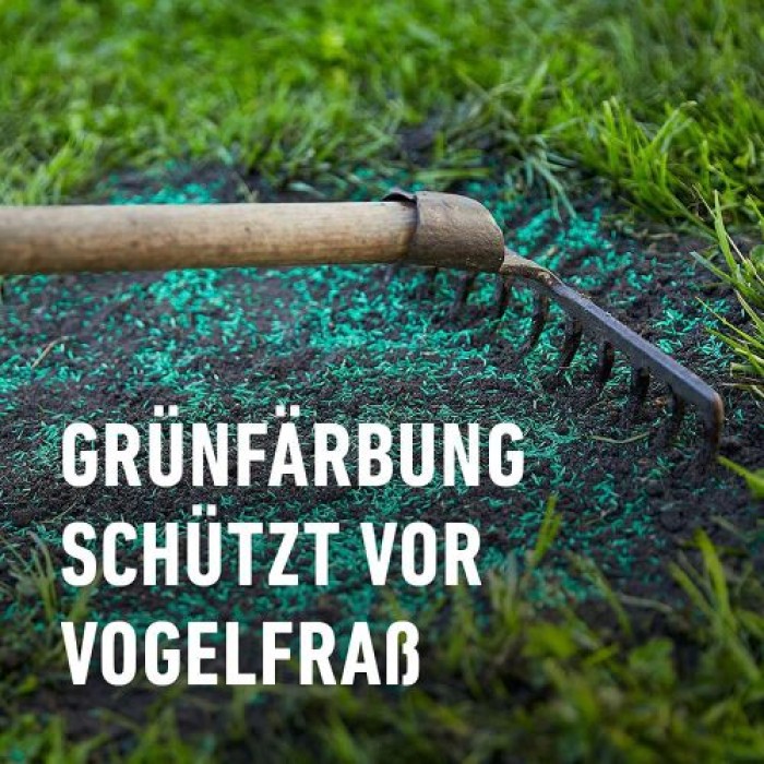 COMPO SAAT Schatten-Rasen, 1 kg, für 50 m², 13896