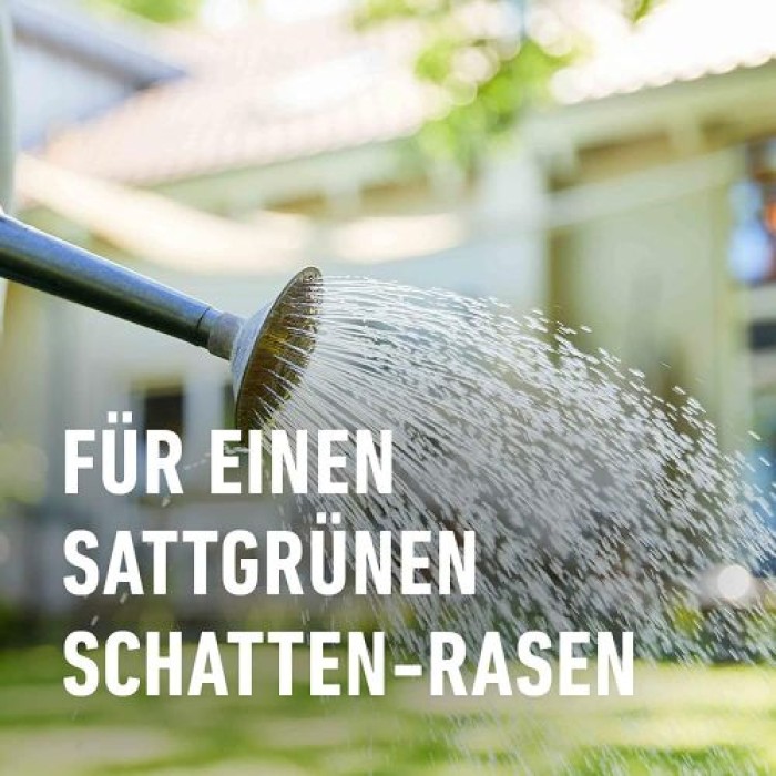 COMPO SAAT Schatten-Rasen, 1 kg, für 50 m², 13896