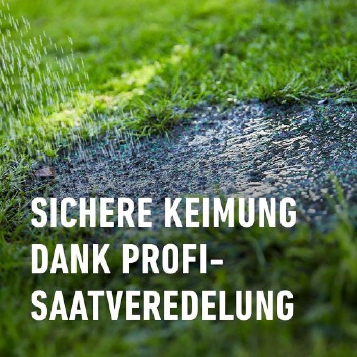 COMPO SAAT Schatten-Rasen, 1 kg, für 50 m², 13896