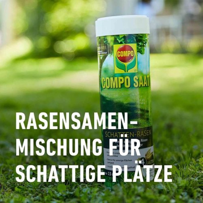 COMPO SAAT Schatten-Rasen, 300 g, für 15 m², 13895