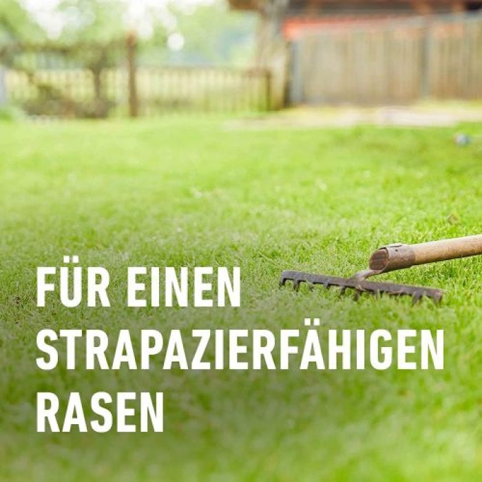 COMPO SAAT Strapazier-Rasen, 1 kg, für 50 m², 13885