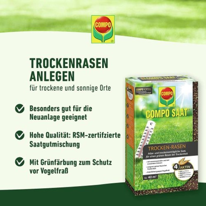 COMPO SAAT Trocken-Rasen, 2 kg, für 80 m², 23949