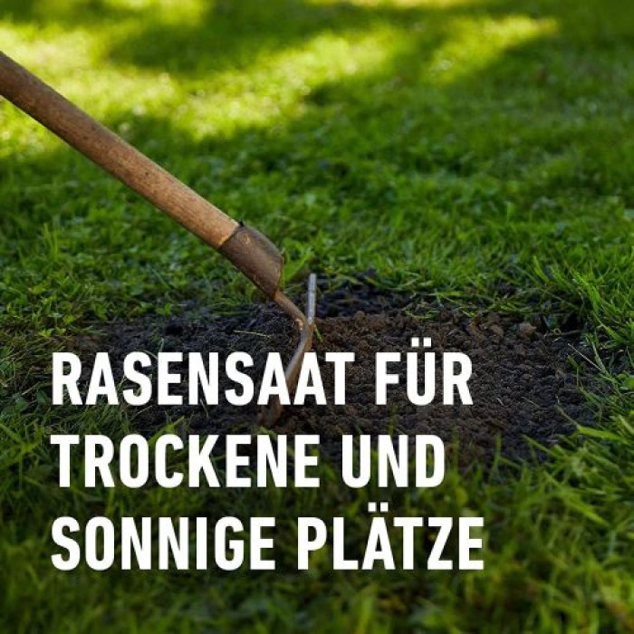 COMPO SAAT Trocken-Rasen, 2 kg, für 80 m², 23949