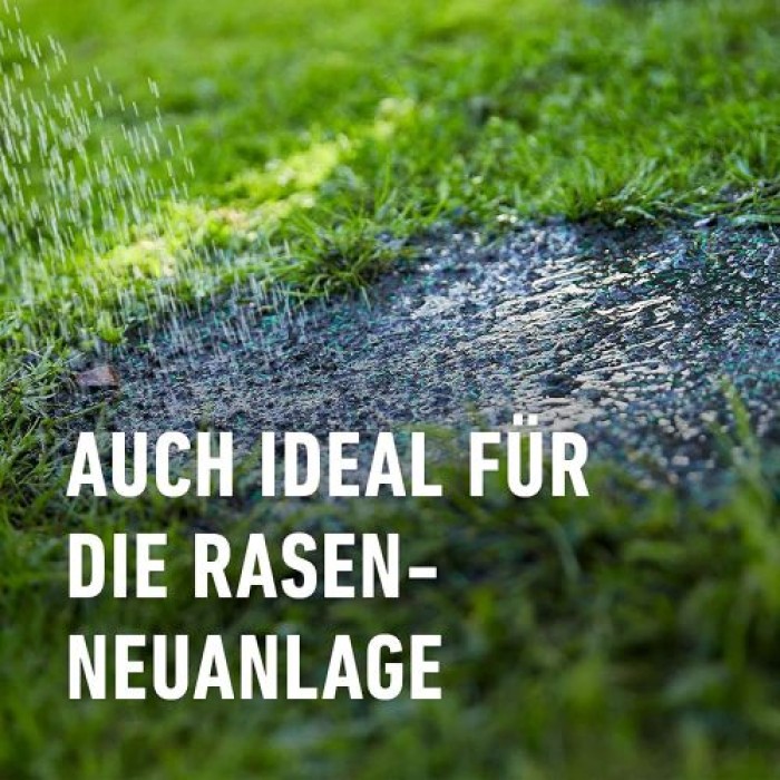 COMPO SAAT Trocken-Rasen, 2 kg, für 80 m², 23949