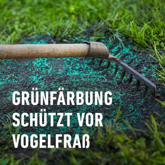 COMPO SAAT Trocken-Rasen, 2 kg, für 80 m², 23949