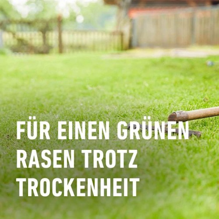 COMPO SAAT Trocken-Rasen, 2 kg, für 80 m², 23949