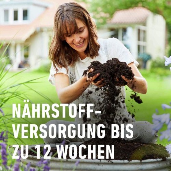 COMPO SANA Blumenerde für Grünpflanzen und Palmen, 12 Wochen Nährstoffversorgung, 10 Liter, 11431