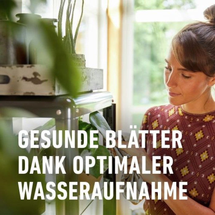 COMPO SANA Blumenerde für Grünpflanzen und Palmen, 12 Wochen Nährstoffversorgung, 10 Liter, 11431
