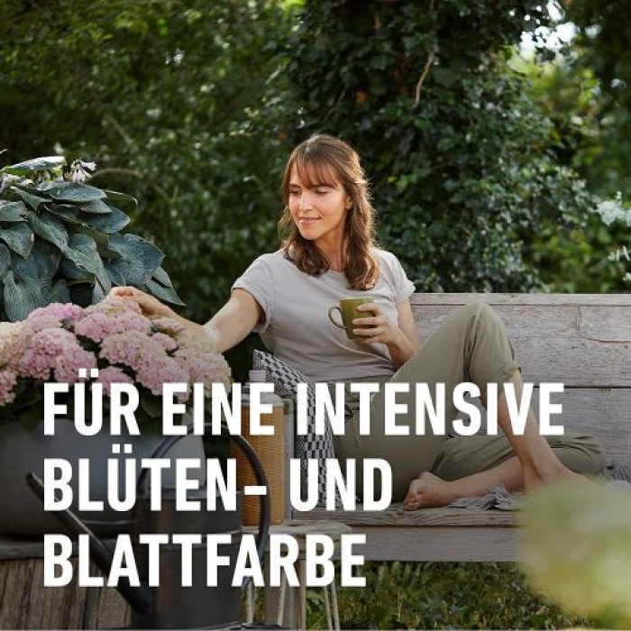 COMPO SANA Rhododendron- und Hortensienerde, 20 Liter, 11741