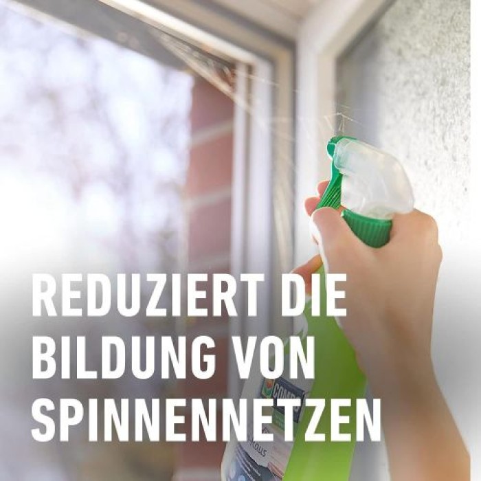 COMPO Spinnen-Raus, Vergrämungsmittel zum Vertreiben von Spinnen, Natürlicher Wirkstoff, 750 ml, 23024