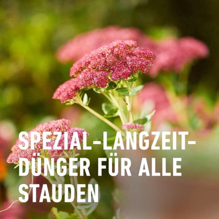 COMPO Stauden Langzeit-Dünger für Stauden und Blütensträucher, umweltschonend, 6 Monate Langzeitwirkung, 2 kg, 46 m², 23791