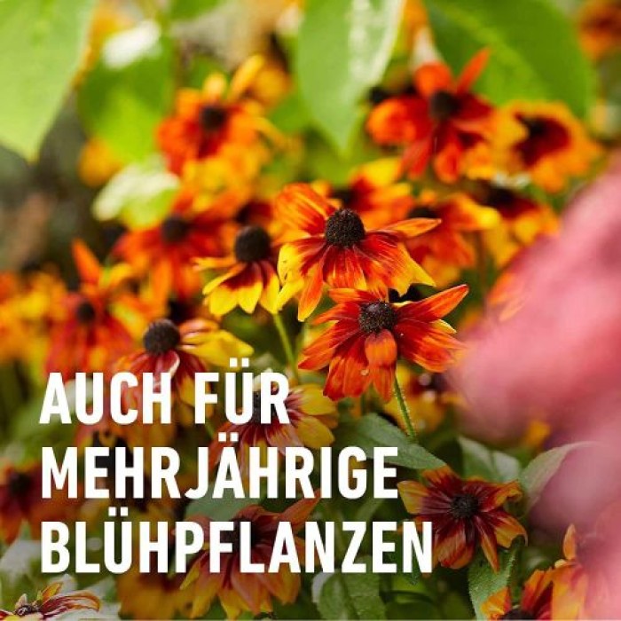 COMPO Stauden Langzeit-Dünger für Stauden und Blütensträucher, umweltschonend, 6 Monate Langzeitwirkung, 2 kg, 46 m², 23791