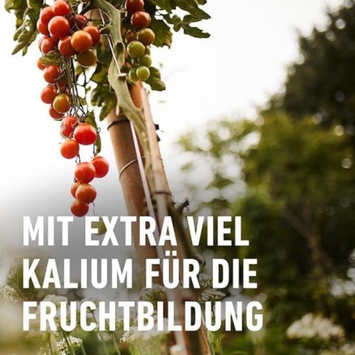 Compo Tomaten Langzeit-Dünger 850g, 26052