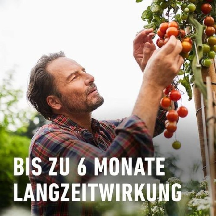Compo Tomaten Langzeit-Dünger 850g, 26052