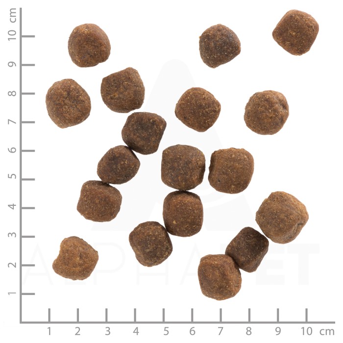Wolfsblut Wild Duck Adult Hunde Trockenfutter, 2kg, WB761057