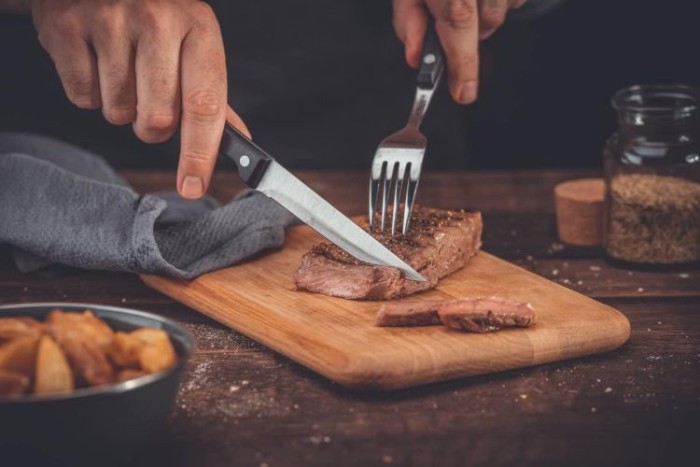 Fackelmann Steakmesser Mega, 11cm Klinge, 43394
