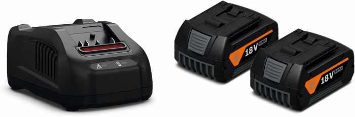 FEIN Akku-Starter-Set GBA 18 V 5.0 Ah AS, 2 Li-Ionen Akkus mit Ladegerät GAL 1880 CV, 92604246010