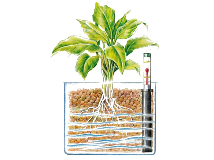 Westland Tongranulat, 5 l – Pflanzgranulat ideal für Hydrokultur, ohne chemische Zusätze, 731496