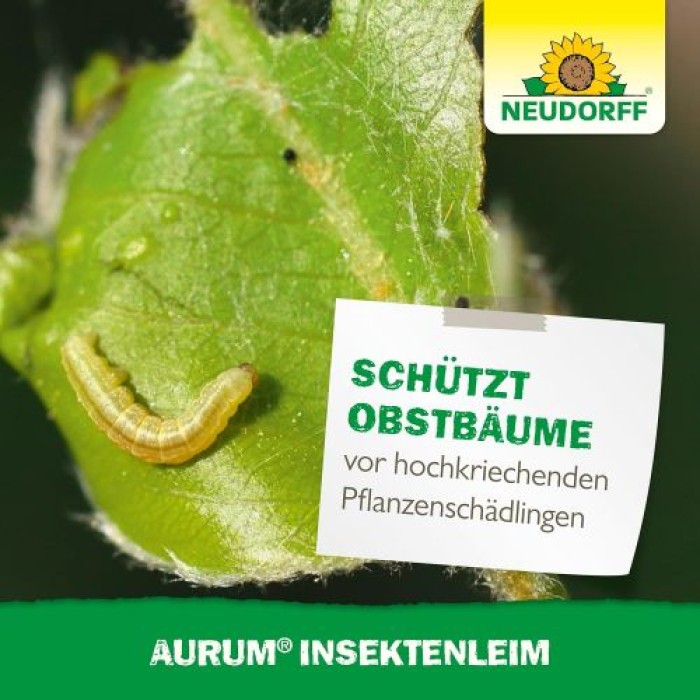 Neudorff Aurum InsektenLeim, schützt vor hochkriechenden Pflanzenschädlingen, 125 g, 3016