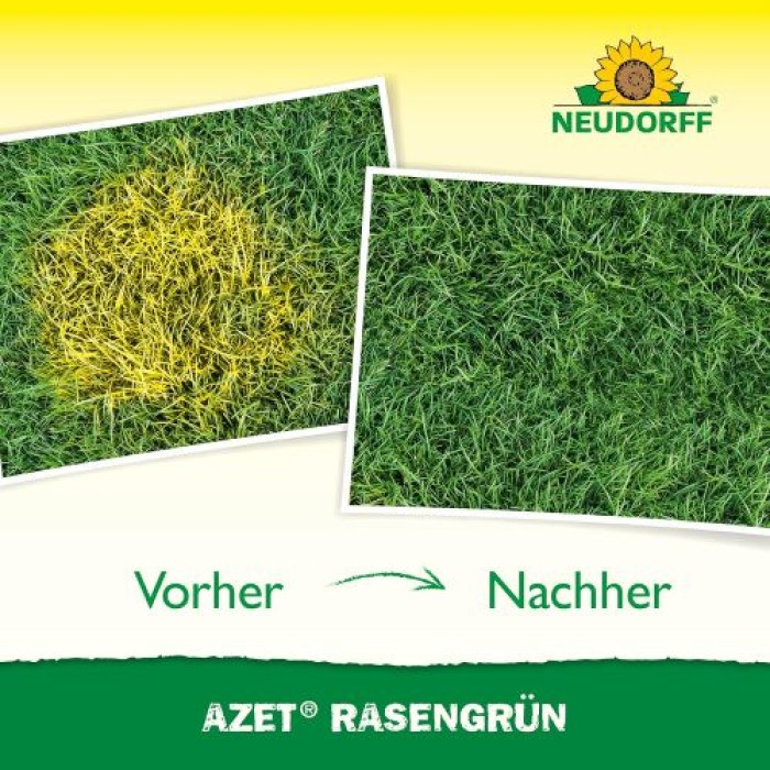 Neudorff Azet Rasengrün – Frischt gelblich verfärbte Stellen im Rasen sattgrün auf, 250 ml 1397