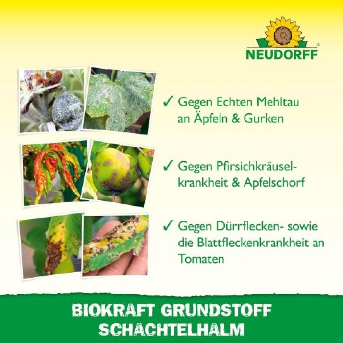Neudorff BioKraft Grundstoff Schachtelhalm, gegen Pilzkrankheiten an Obst und Gemüse, 500 ml, 1995