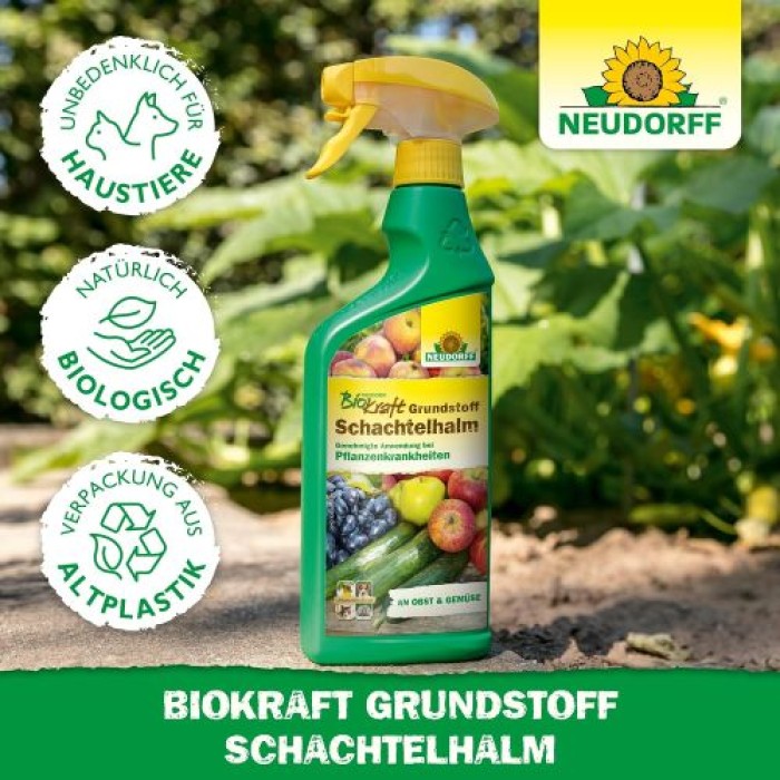 Neudorff BioKraft Grundstoff Schachtelhalm, gegen Pilzkrankheiten an Obst und Gemüse, 500 ml, 1995