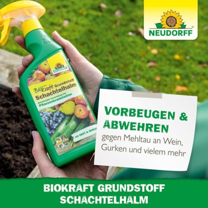 Neudorff BioKraft Grundstoff Schachtelhalm, gegen Pilzkrankheiten an Obst und Gemüse, 500 ml, 1995