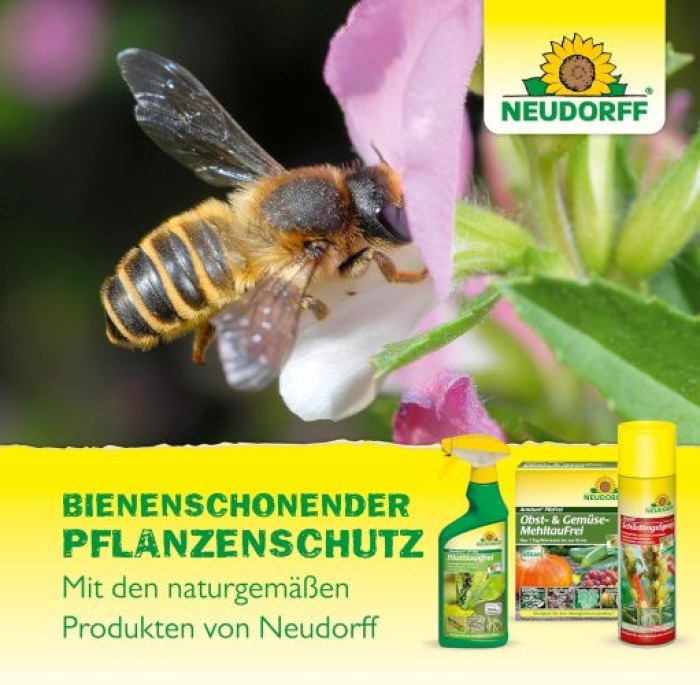 Neudorff BioKraft Grundstoff Schachtelhalm, gegen Pilzkrankheiten an Obst und Gemüse, 500 ml, 1995