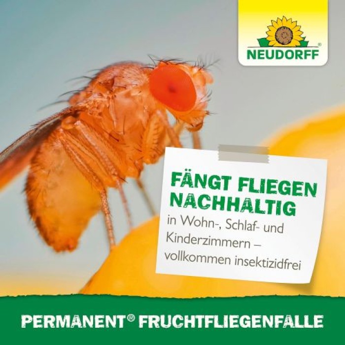 Neudorff Permanent FruchtfliegenFalle – Beseitigt zuverlässig Frucht-, Obst- und Essigfliegen, 1 Stk, 01486